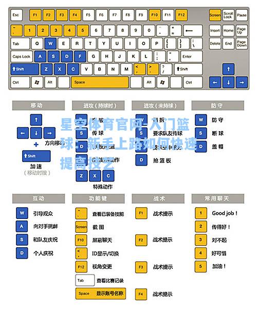 入门篮球：新手上路如何快速提高技艺